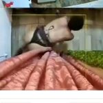 VÍDEO: Ladrão usando apenas calcinha fio dental é flagrado furtando floricultura em Rolim de Moura